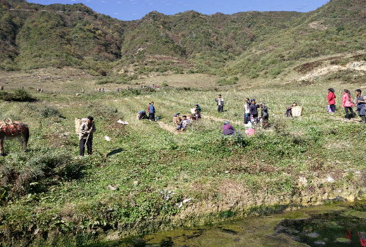 QQͼƬ20180705161441