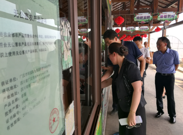 图片1 图片1